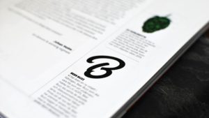 Beer Buzz logo in printed magazine.