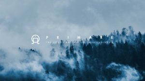 Visual design for Primare