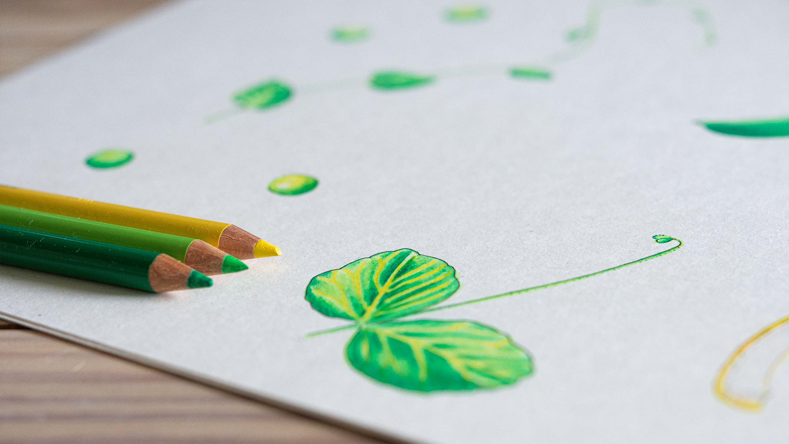 Photo of illustration drawing. 