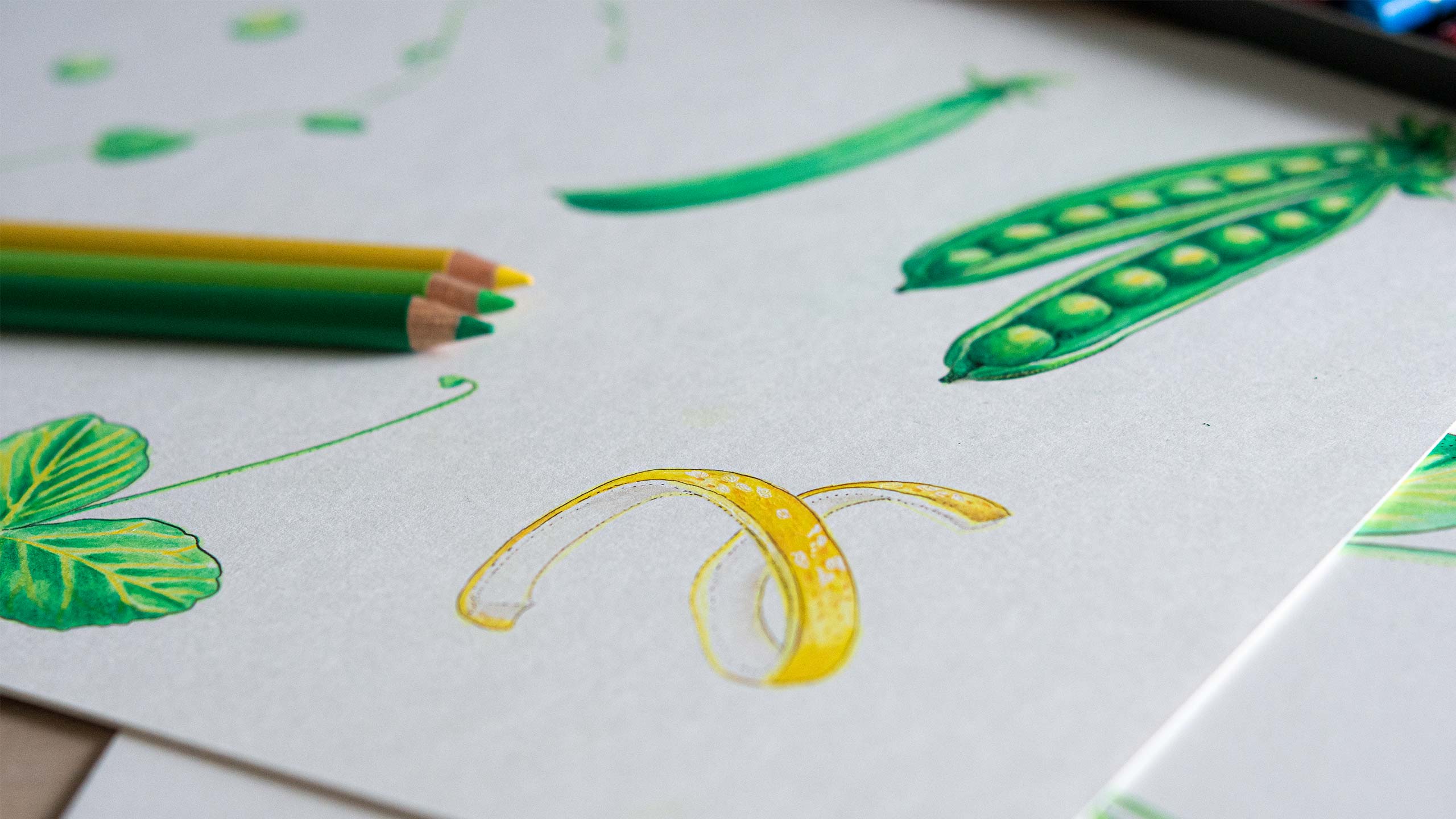 Photo of illustration drawing. 