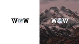 Short logo versions for Wille Worldwide.